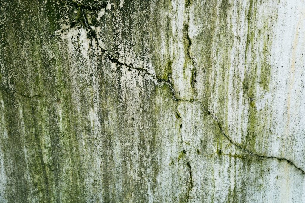 Close-up of a weathered wall with cracks and green algae, texture details.